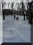 DSCF1512.JPG